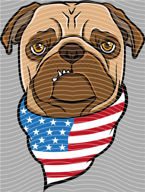 Street design-JT 4599